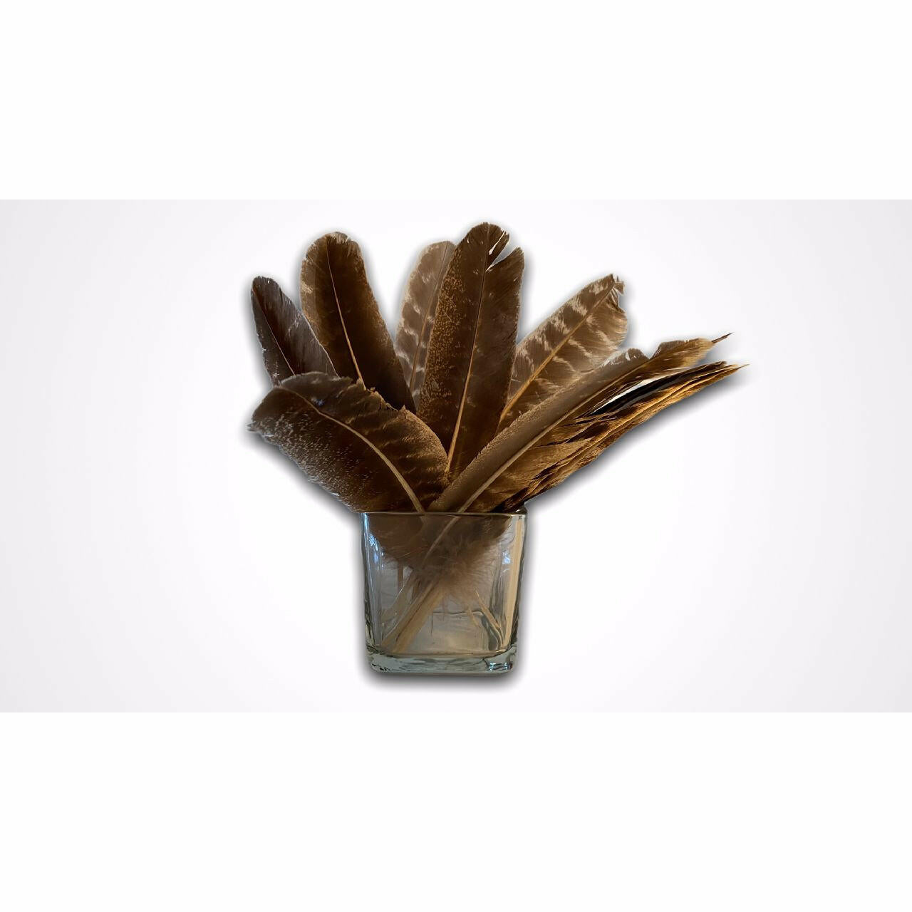 Turkey Smudging Feather.