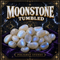 Tumbled moonstone, creamy white polished stones showing the soft blue adularescent shimmer the stone is known for.
