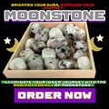 Tumbled Moonstone crystals in a wooden tray from Dallas Psychic & Crystals. Used for intuition, new beginnings, emotional healing, and lunar rituals.CRYSTALS