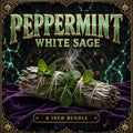White sage smudge stick wrapped with fresh peppermint leaves, bright green mint against pale silvery sage.
